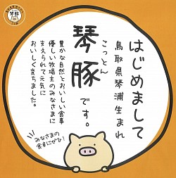 琴豚